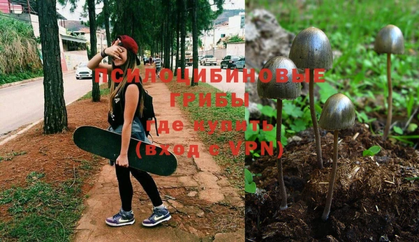 молекула духа Аркадак